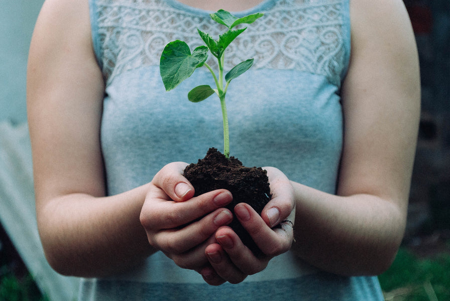 Earth Day at Home, by Molly Olivo