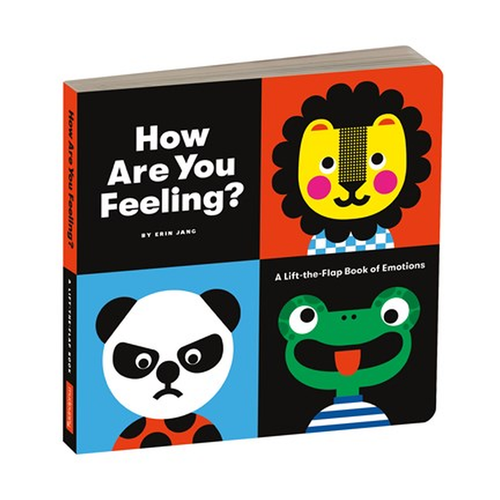 How Are You Feeling Board Book