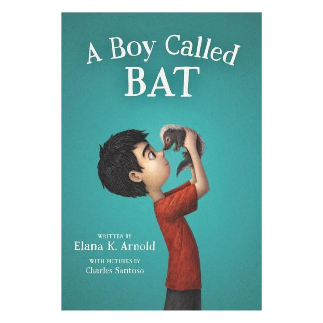 A Boy Called Bat