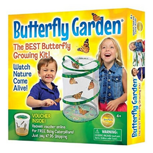 Butterfly Garden