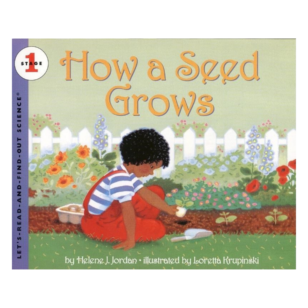 How a Seed Grows