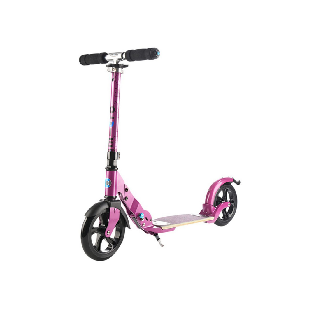 Micro Flex Scooter