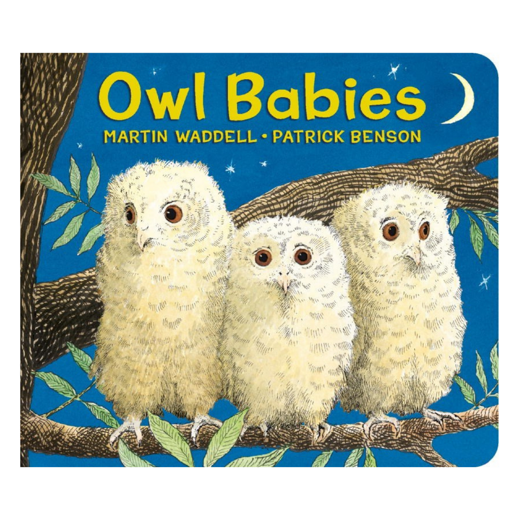 Owl Babies