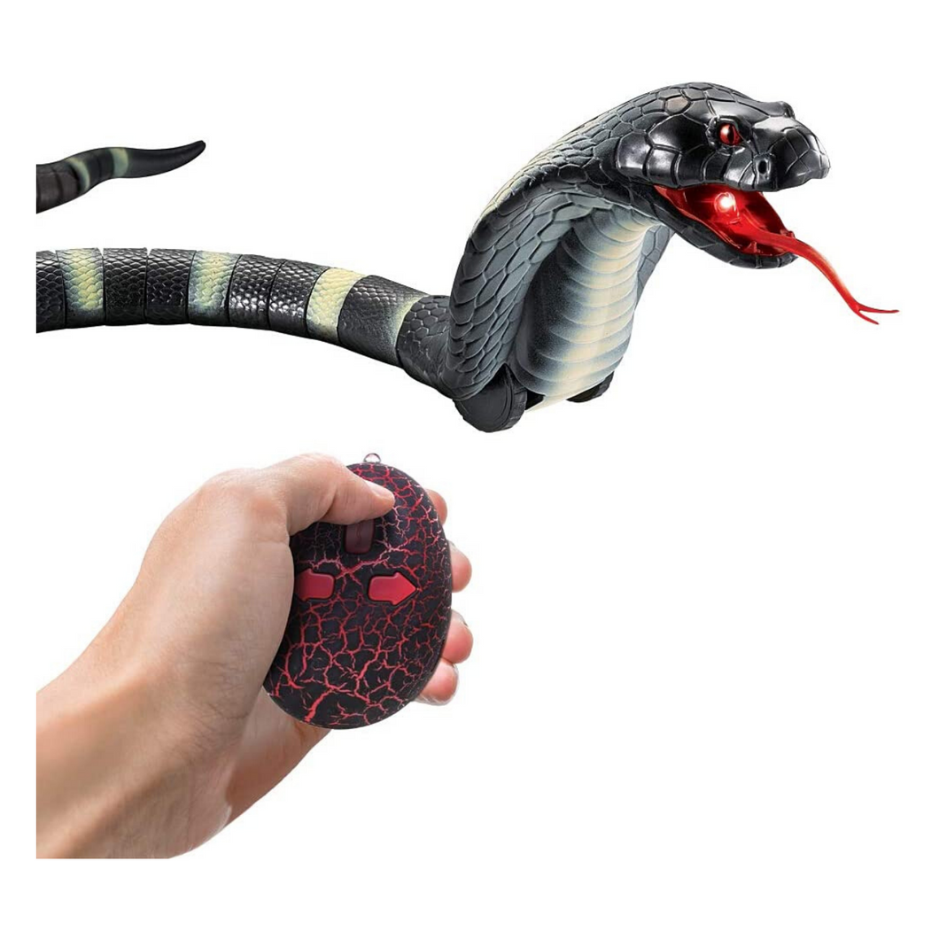 Remote Control Snake