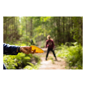 Wingman disc in a hand